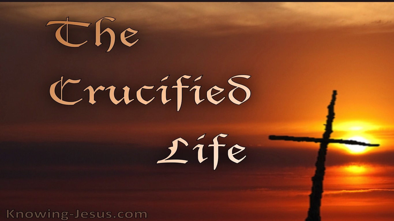 The Crucified Life (devotional)12-22   (brown)